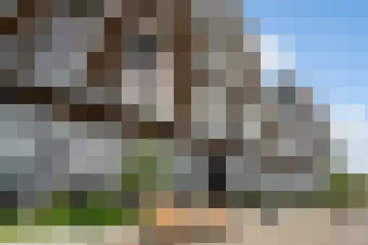 Maashaven N.z. 731 Rotterdam thumbnail 32
