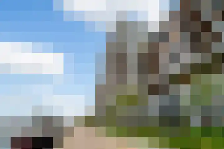Maashaven N.z. 731 Rotterdam thumbnail 36