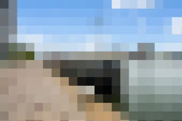 Maashaven N.z. 731 Rotterdam thumbnail 39