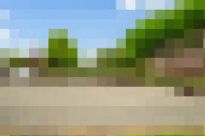 Maashaven N.z. 731 Rotterdam thumbnail 41
