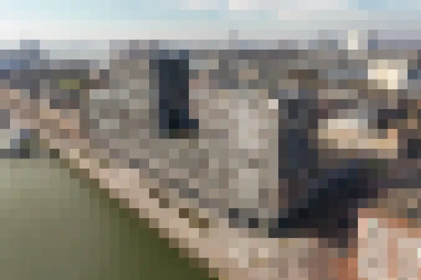 Maashaven N.z. 797 Rotterdam thumbnail 44
