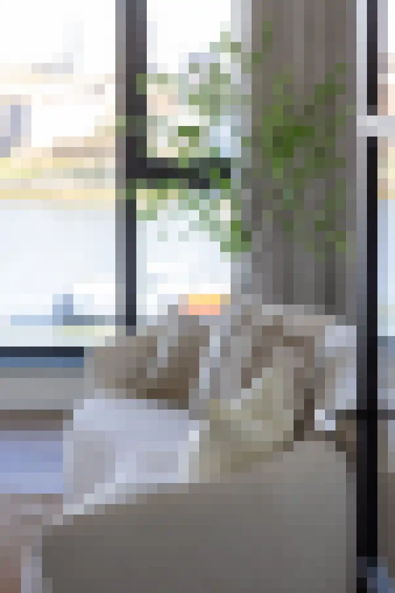 Maashaven N.z. 797 Rotterdam thumbnail 8