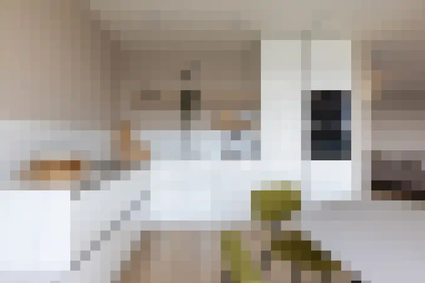 Maashaven N.z. 807 Rotterdam thumbnail 10