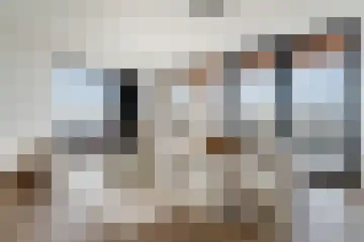 Maashaven N.z. 835 Rotterdam thumbnail 27
