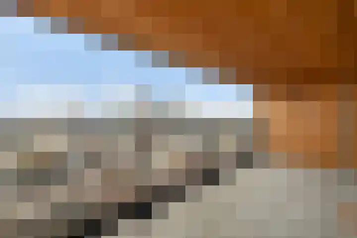 Maashaven N.z. 835 Rotterdam thumbnail 31