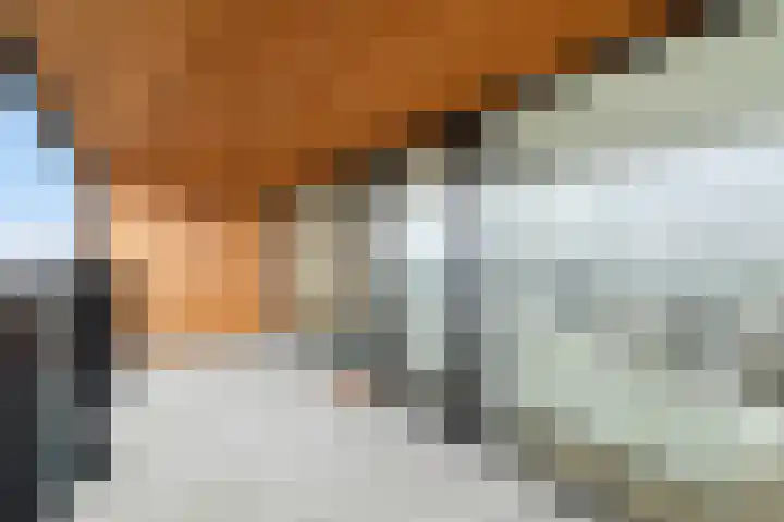 Maashaven N.z. 835 Rotterdam thumbnail 32