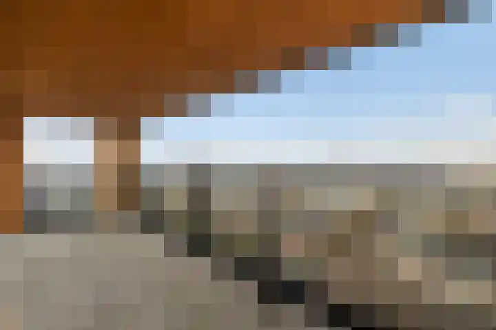 Maashaven N.z. 835 Rotterdam thumbnail 33