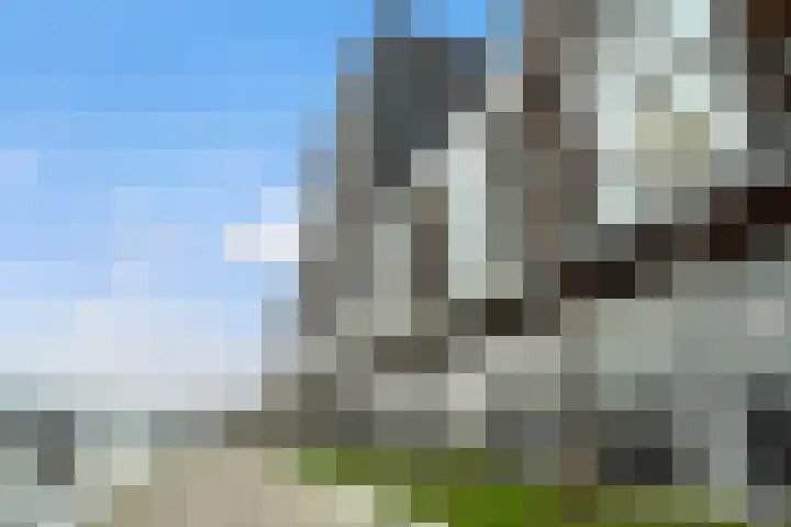 Maashaven N.z. 835 Rotterdam thumbnail 50