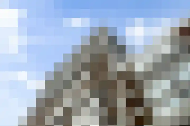 Maashaven N.z. 835 Rotterdam thumbnail 51