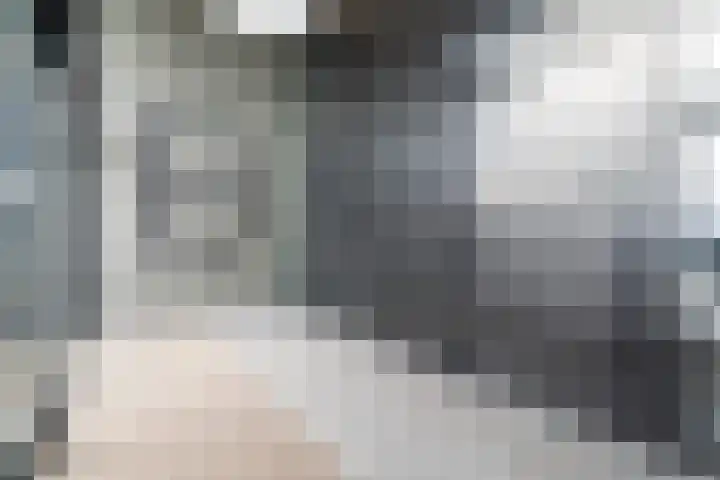 Maashaven N.z. 835 Rotterdam thumbnail 9