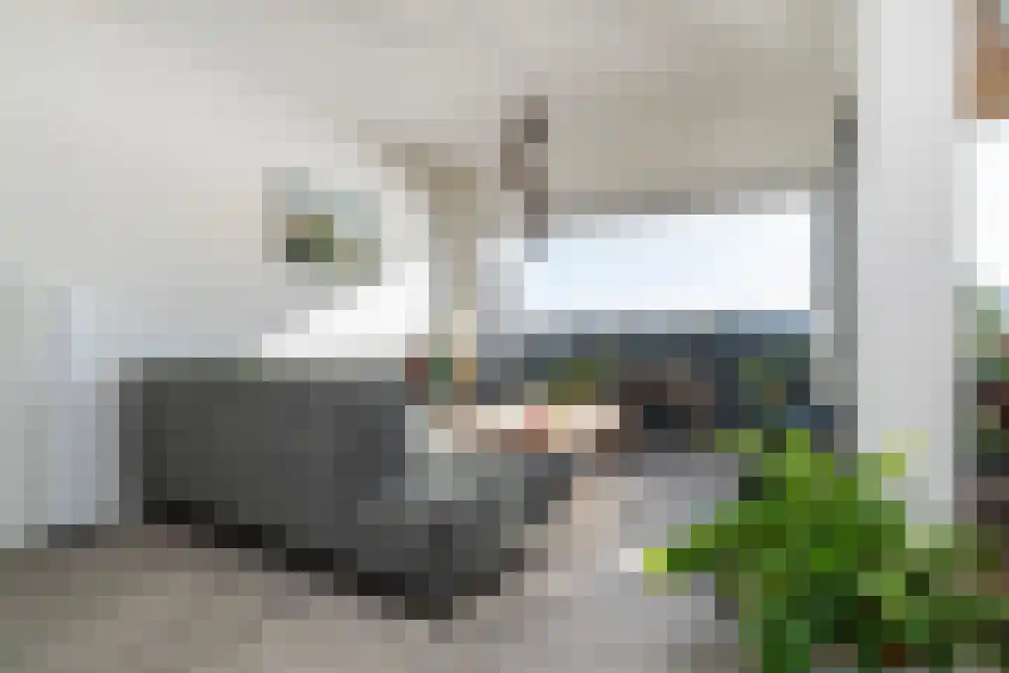 Maashaven N.z. 865 Rotterdam thumbnail 12
