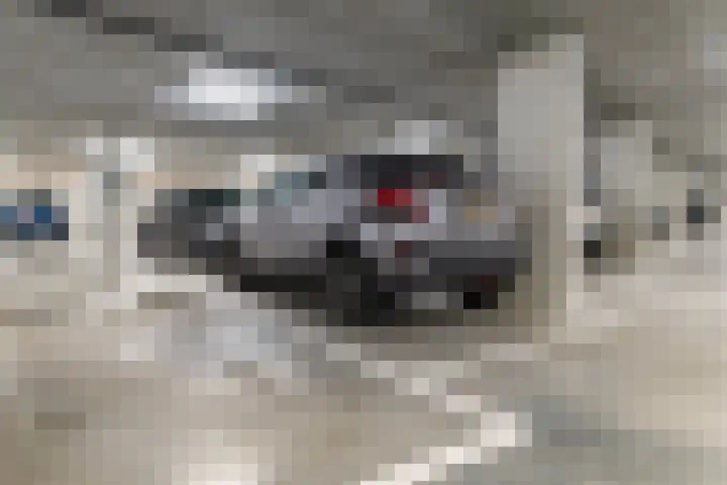 Maashaven N.z. 865 Rotterdam thumbnail 34