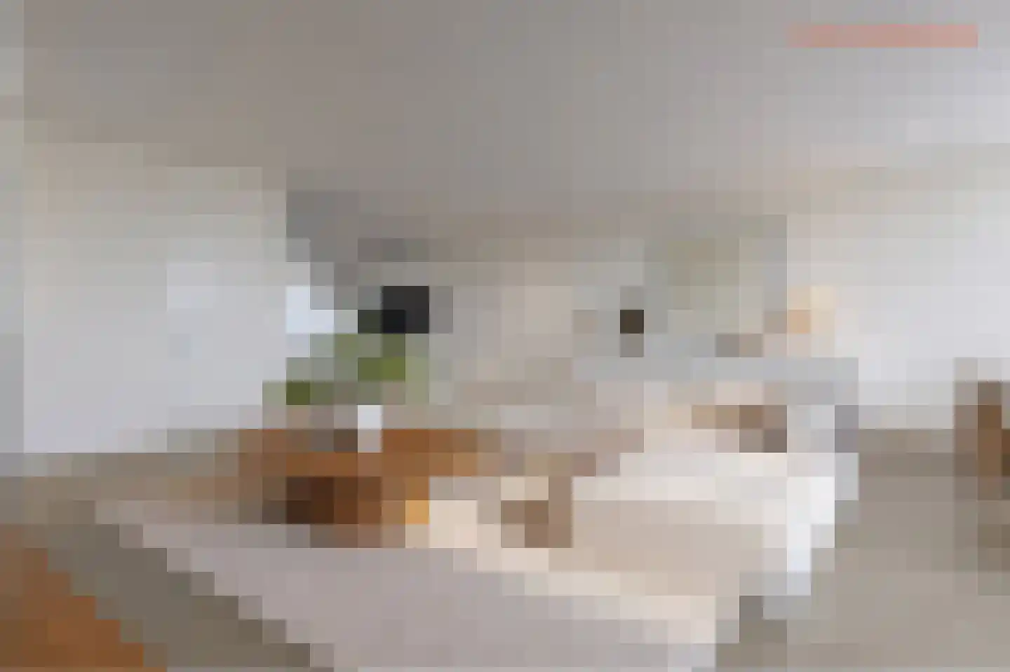 Maashaven N.z. 865 Rotterdam thumbnail 4