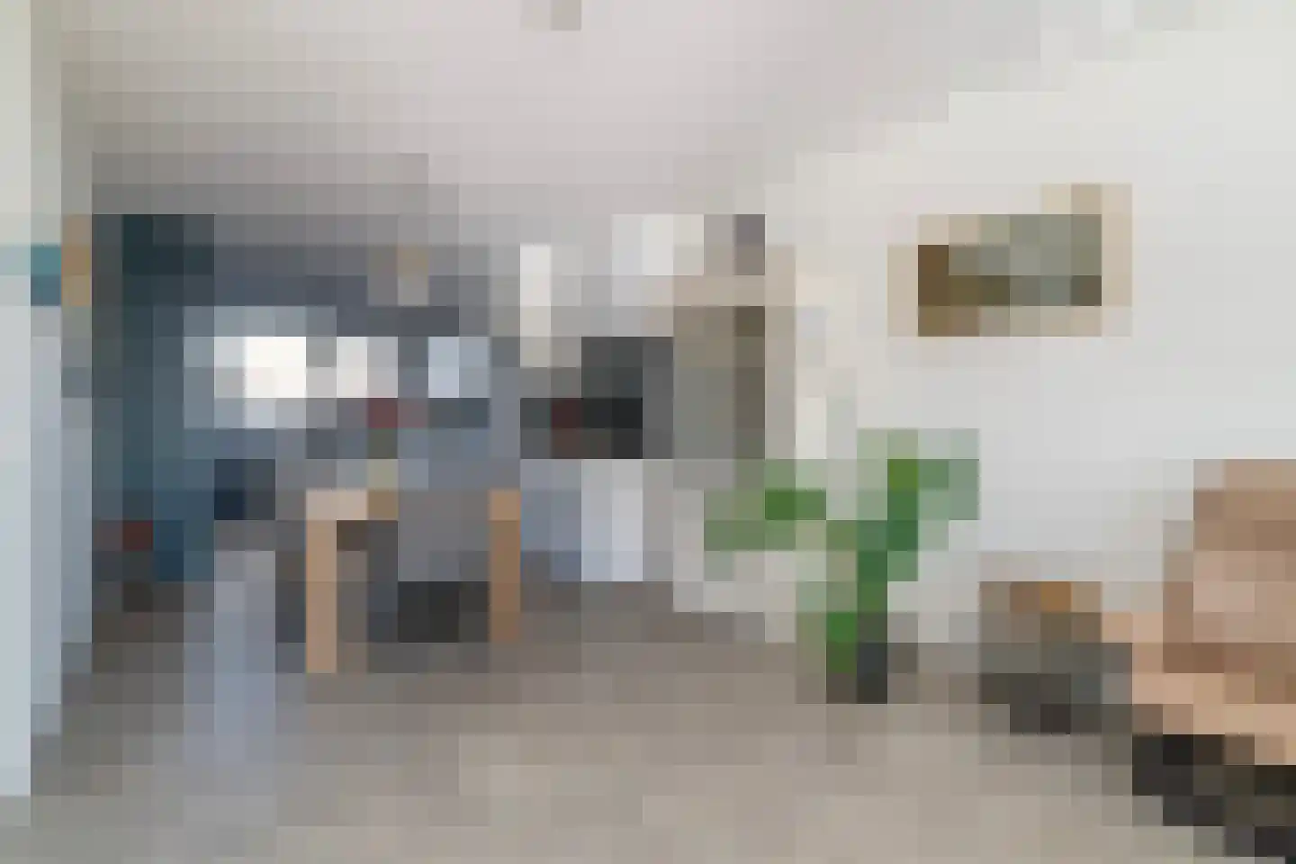 Maashaven N.z. 865 Rotterdam thumbnail 6