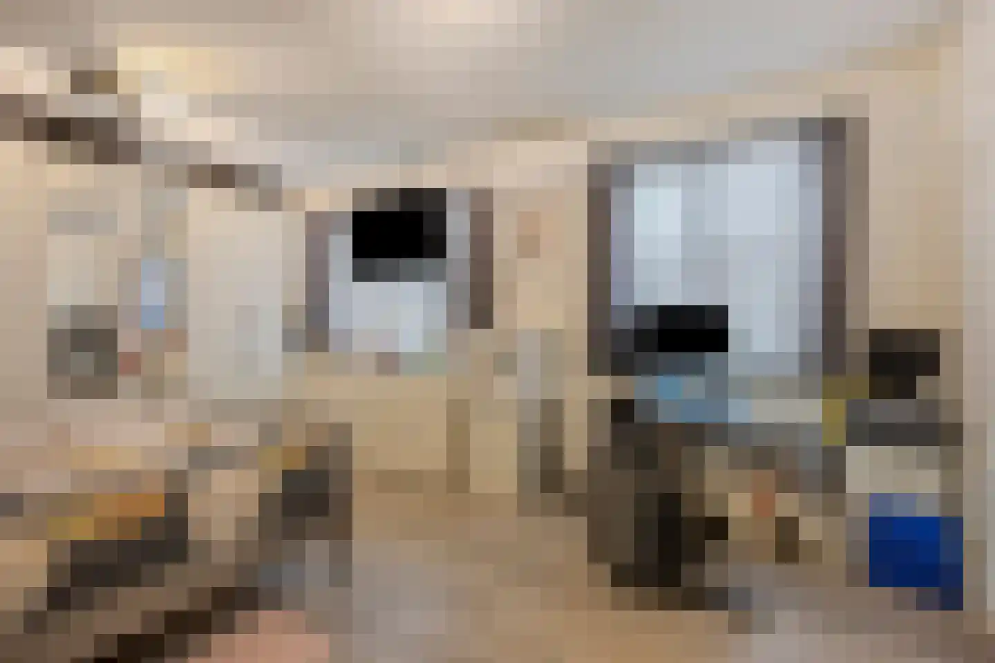 Maashaven O.z. 187 Rotterdam thumbnail 10
