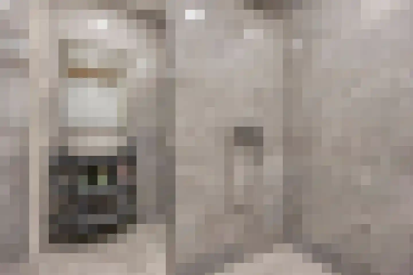 Maashaven O.z. 187 Rotterdam thumbnail 19