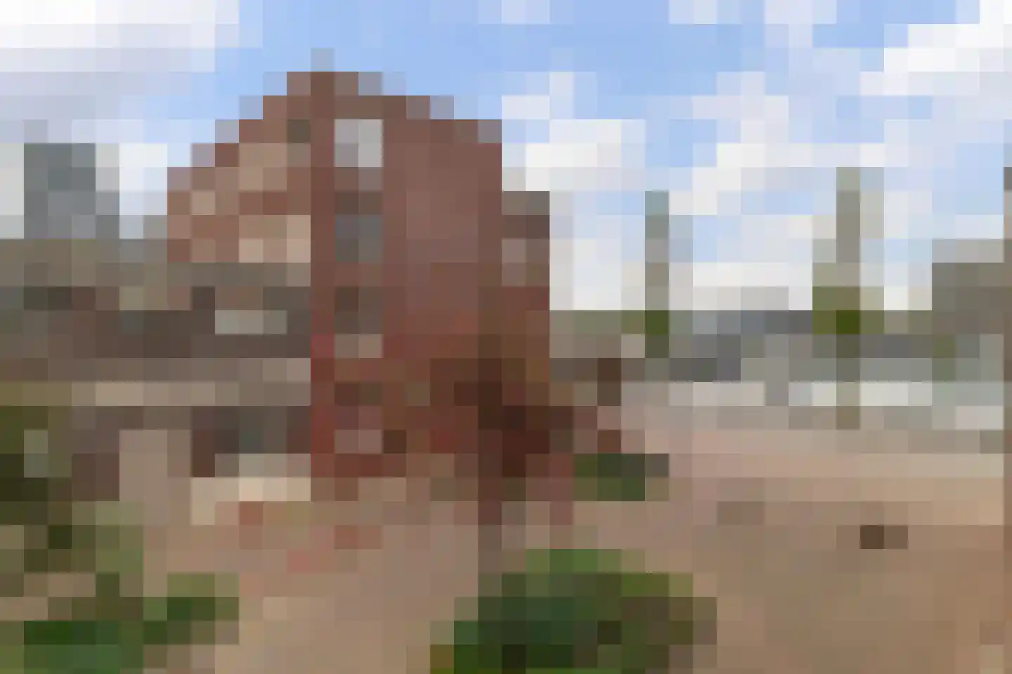 Maashavenkade 117 Rotterdam thumbnail 18