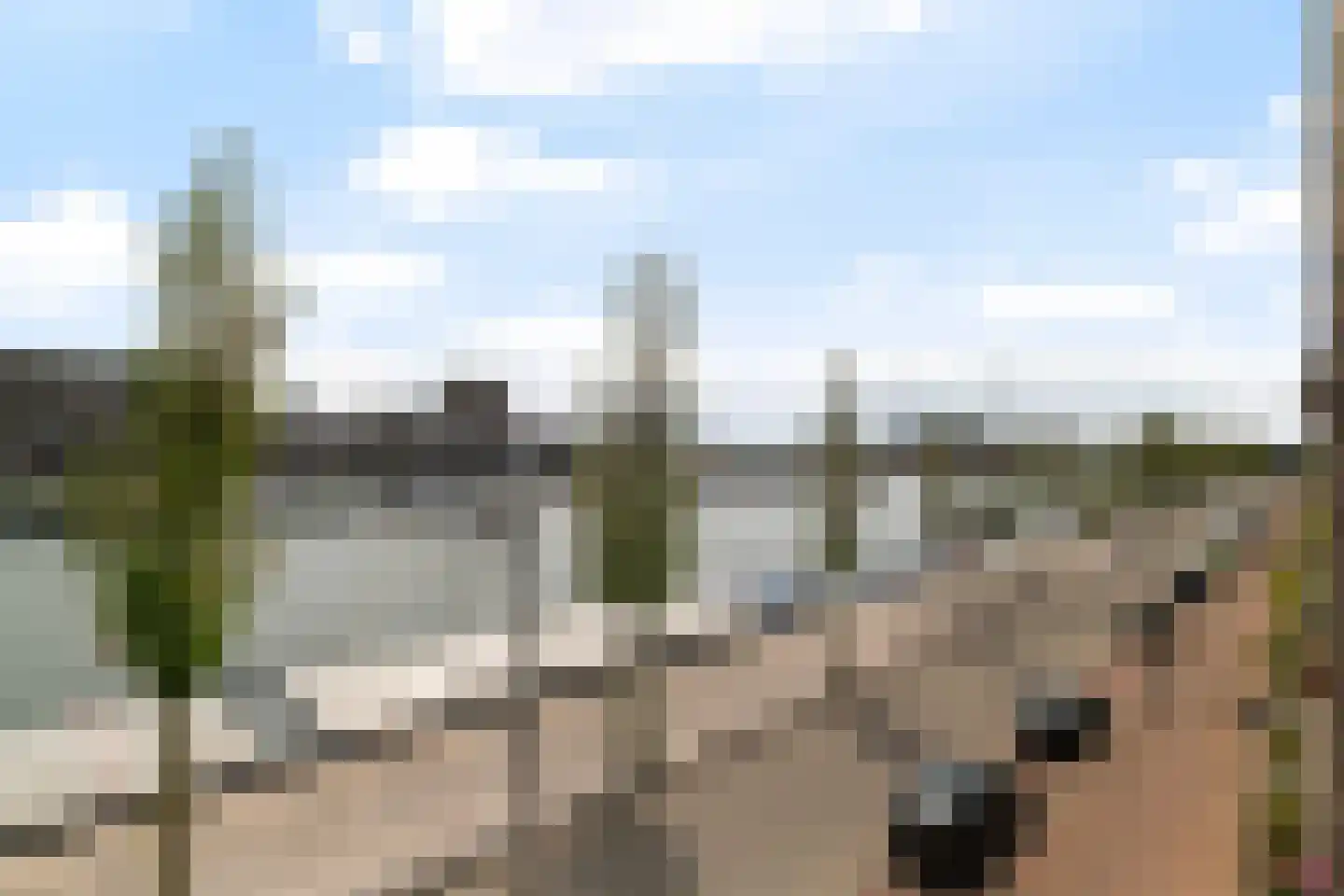 Maashavenkade 117 Rotterdam thumbnail 25