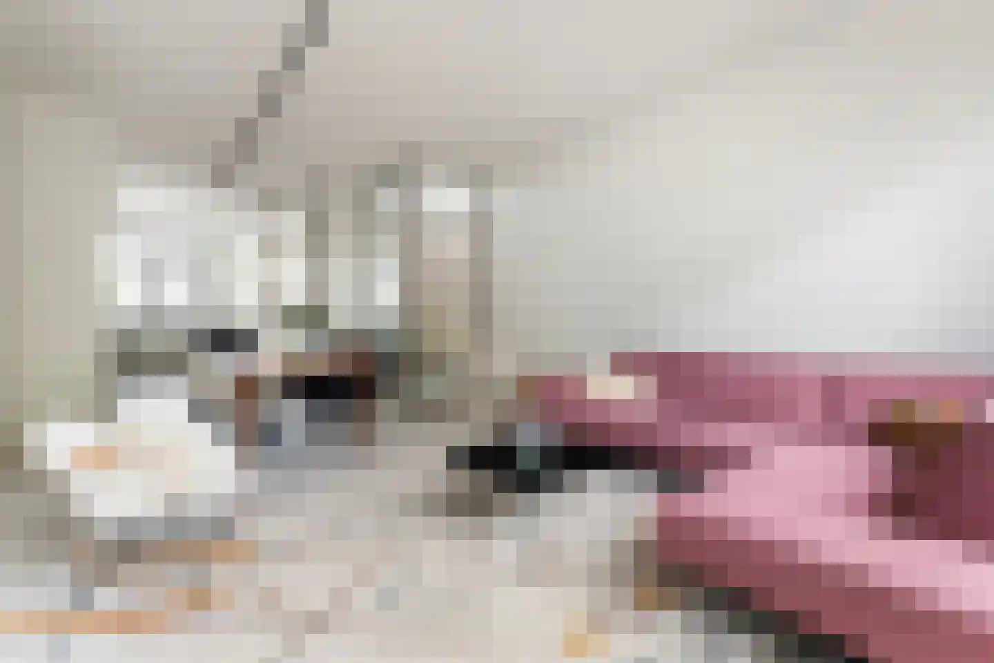 Maashavenkade 151 Rotterdam thumbnail 11