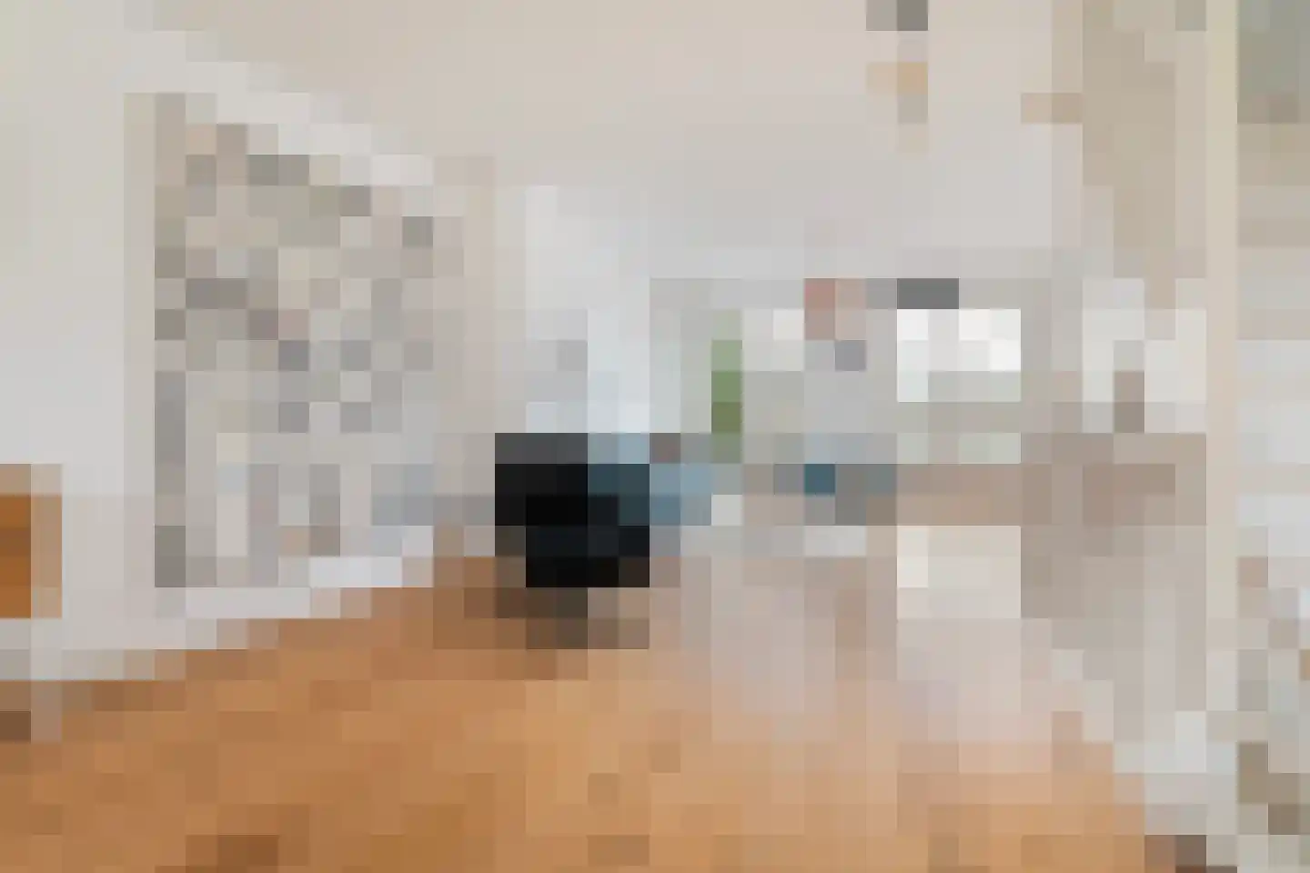 Maashavenkade 151 Rotterdam thumbnail 16