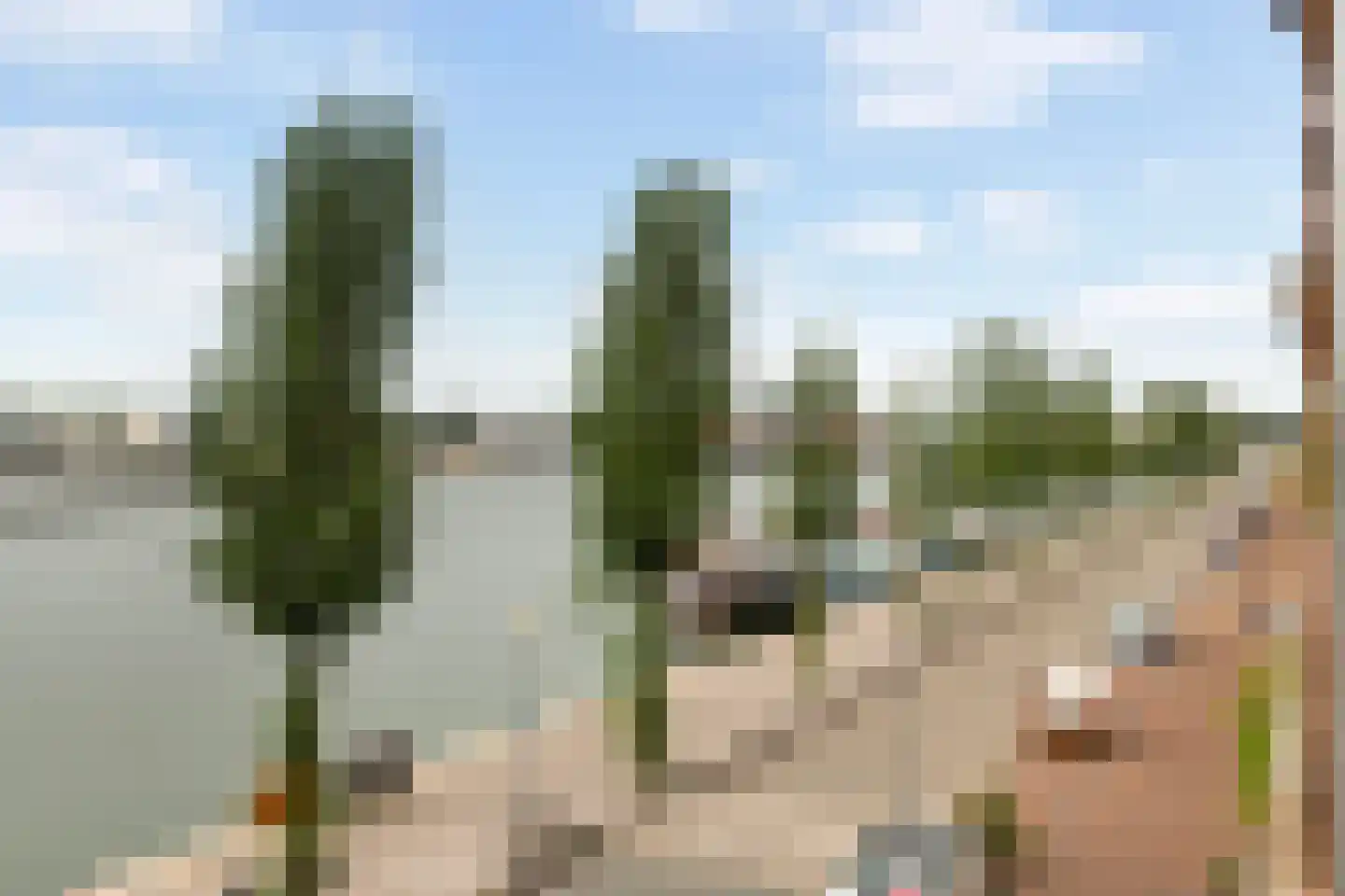 Maashavenkade 151 Rotterdam thumbnail 20