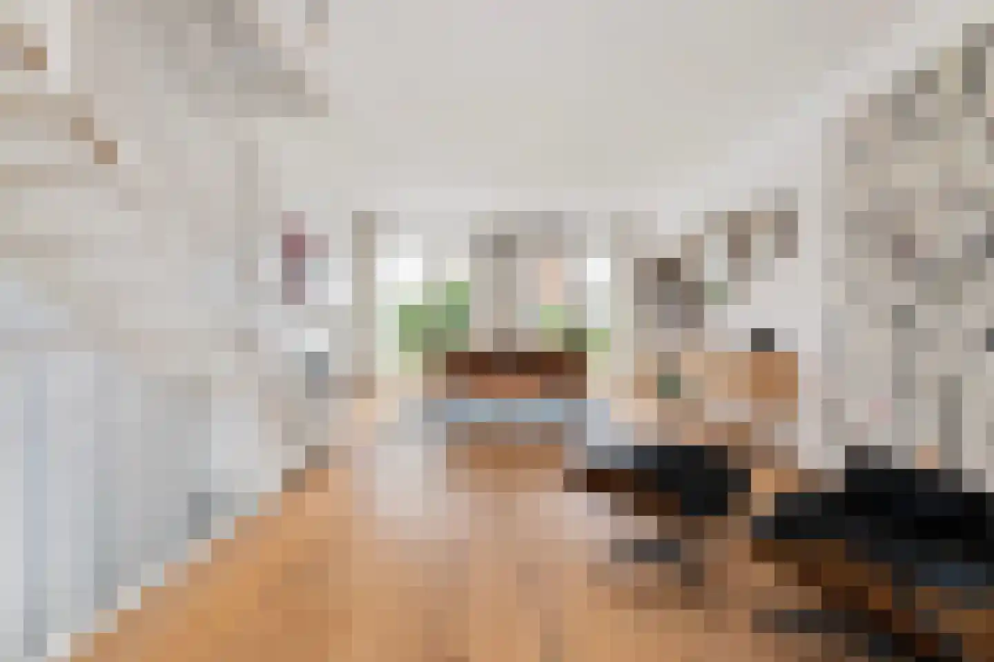 Maashavenkade 151 Rotterdam thumbnail 22