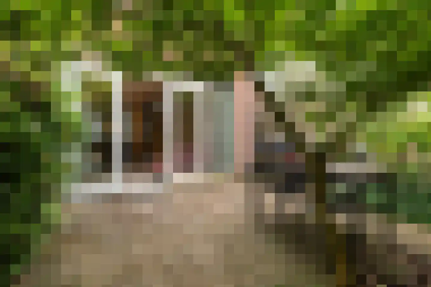 Maashavenkade 151 Rotterdam thumbnail 4