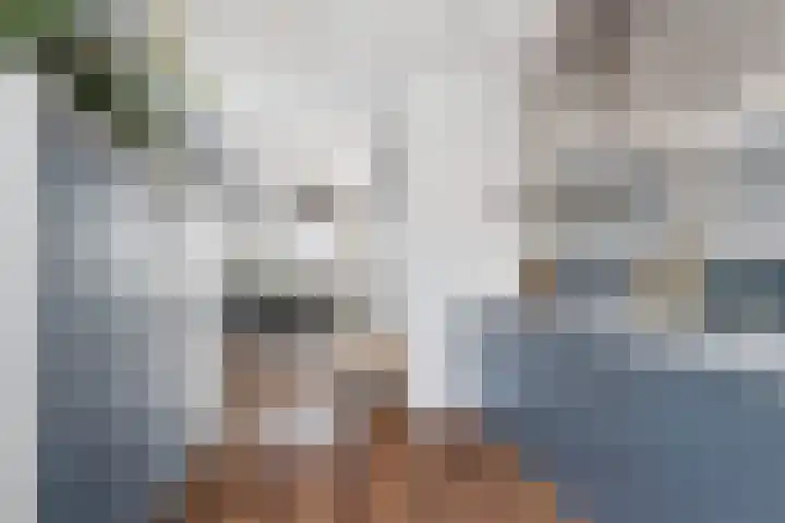 Maashavenkade 155 Rotterdam thumbnail 13
