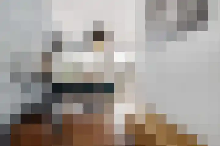 Maashavenkade 155 Rotterdam thumbnail 14