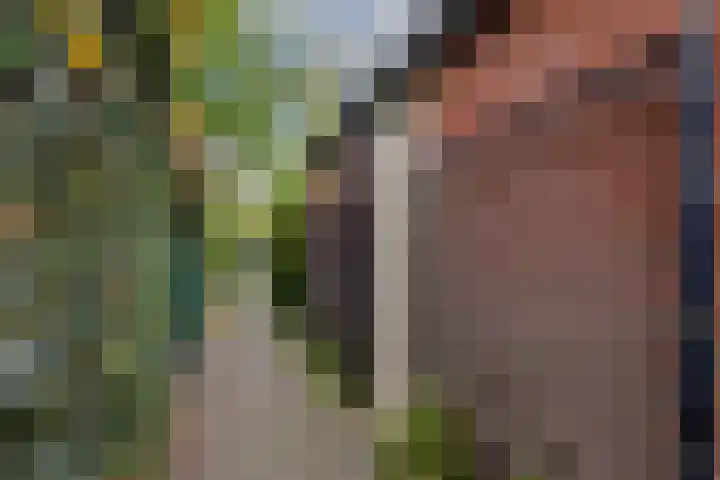 Maashavenkade 155 Rotterdam thumbnail 37
