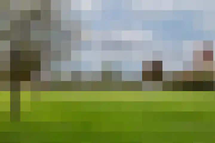 Maashavenkade 155 Rotterdam thumbnail 41
