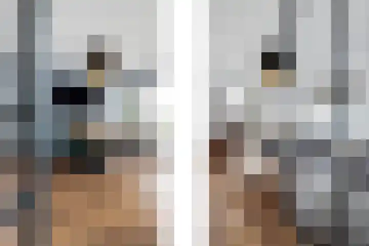 Maashavenkade 155 Rotterdam thumbnail 8