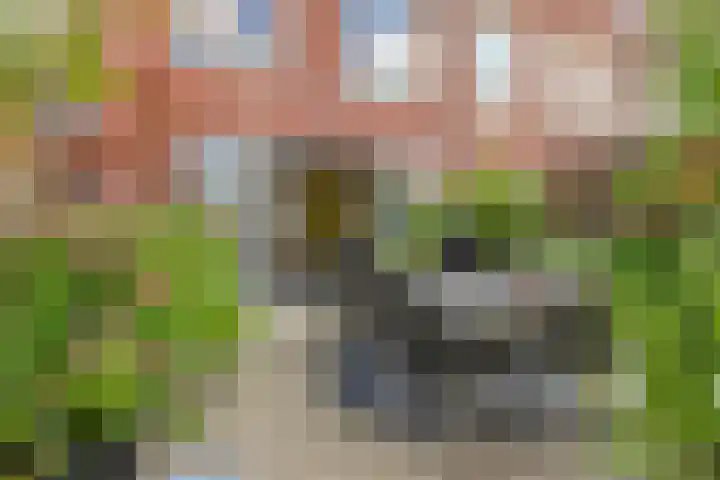 Maashavenkade 169 Rotterdam thumbnail 13