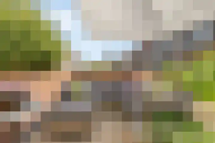 Maashavenkade 169 Rotterdam thumbnail 15