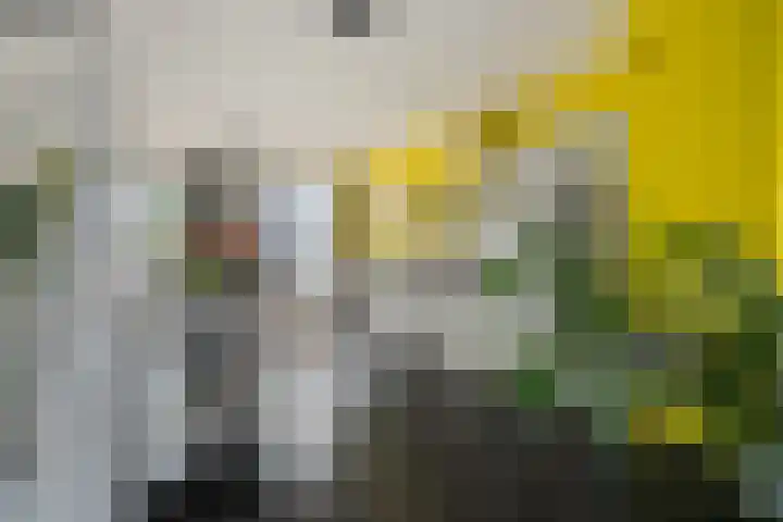 Maashavenkade 169 Rotterdam thumbnail 16