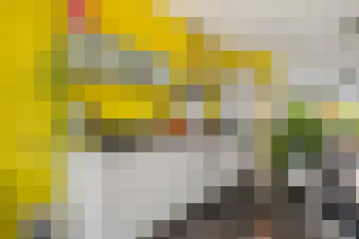 Maashavenkade 169 Rotterdam thumbnail 18