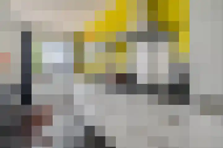 Maashavenkade 169 Rotterdam thumbnail 21