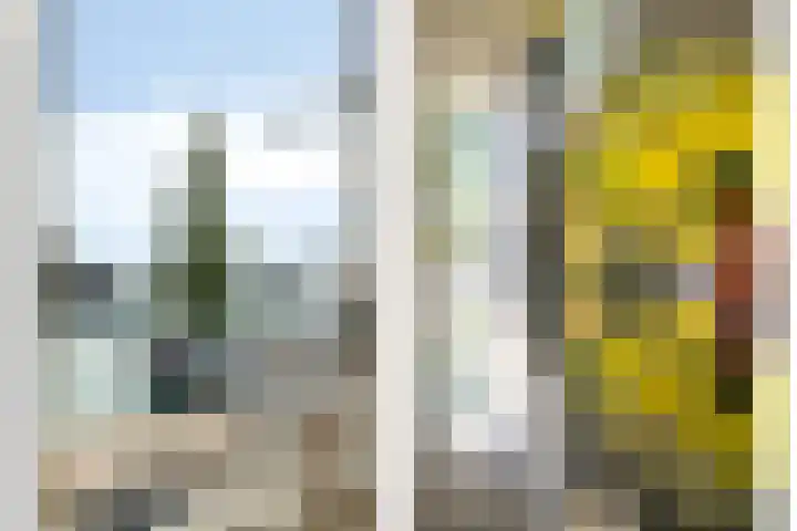 Maashavenkade 169 Rotterdam thumbnail 23