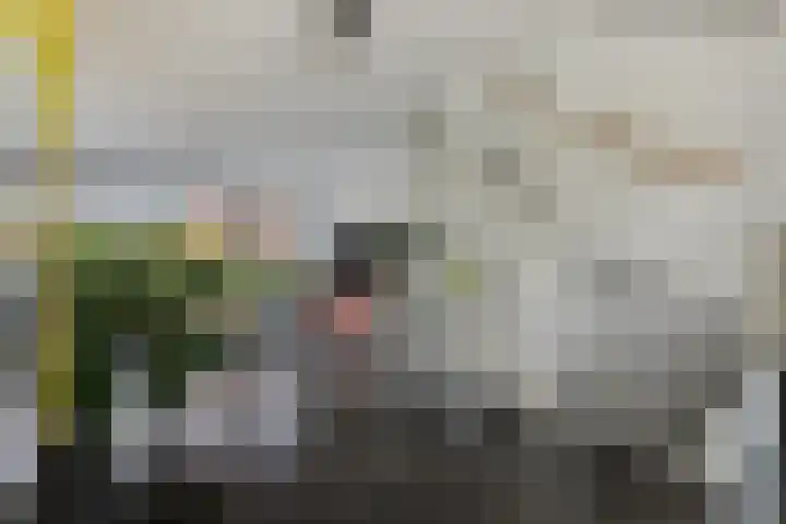 Maashavenkade 169 Rotterdam thumbnail 25