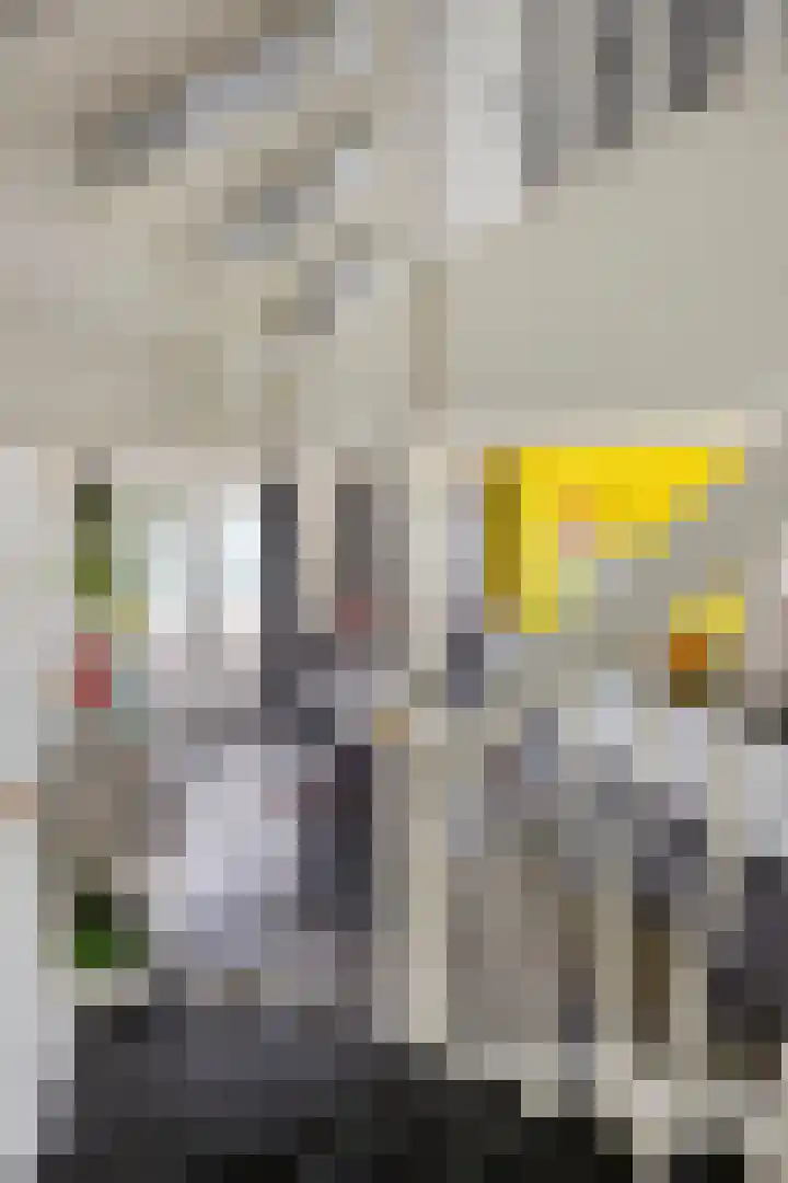 Maashavenkade 169 Rotterdam thumbnail 27