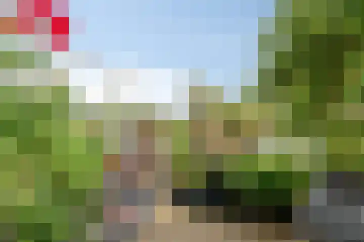Maashavenkade 169 Rotterdam thumbnail 46