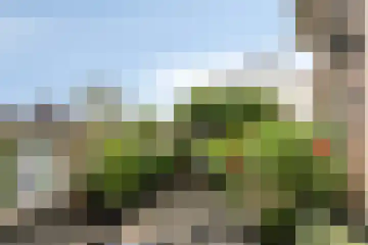 Maashavenkade 169 Rotterdam thumbnail 48