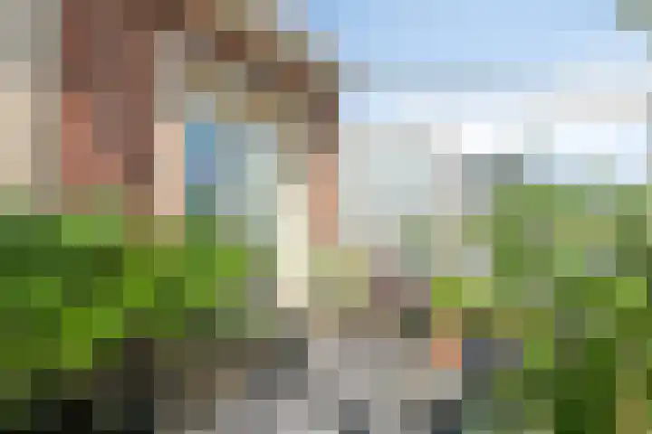 Maashavenkade 169 Rotterdam thumbnail 5