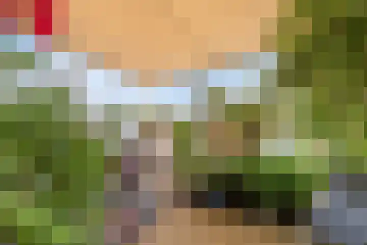 Maashavenkade 169 Rotterdam thumbnail 52
