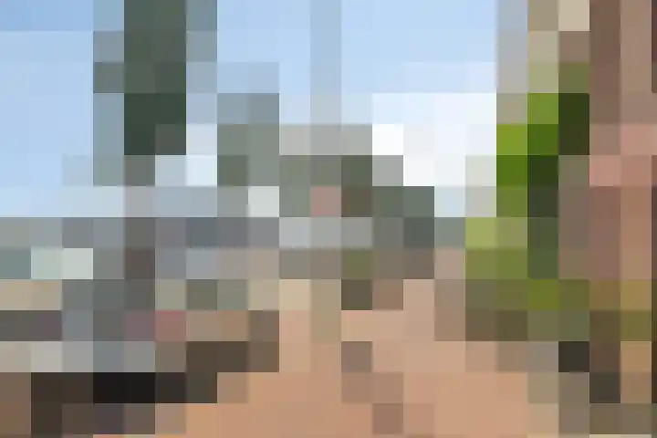 Maashavenkade 169 Rotterdam thumbnail 63