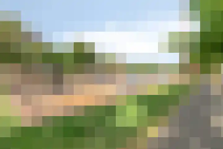 Maashavenkade 169 Rotterdam thumbnail 68