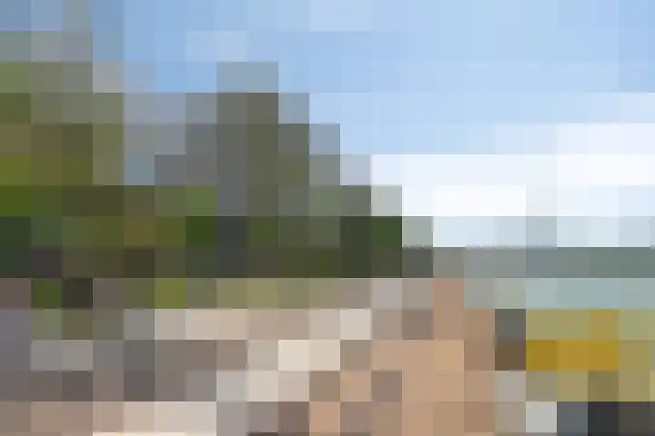 Maashavenkade 169 Rotterdam thumbnail 69