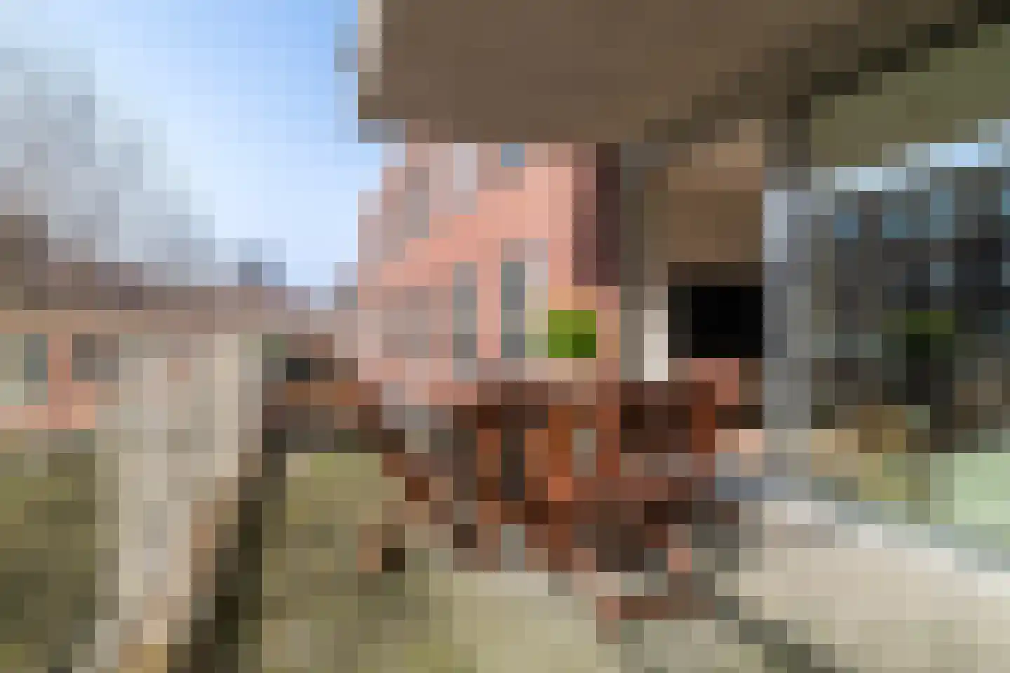 Maashavenstraat 3 Rotterdam thumbnail 19