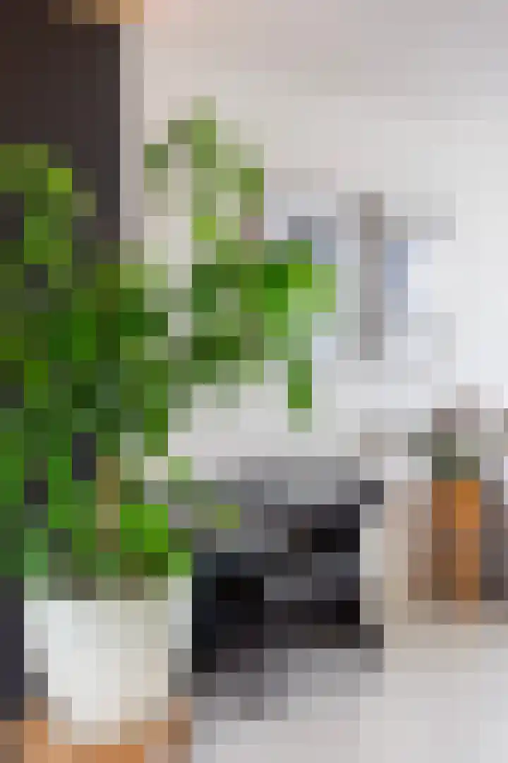 Maashavenstraat 43 Rotterdam thumbnail 11