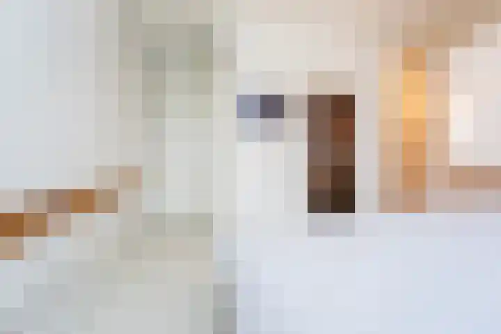 Maashavenstraat 43 Rotterdam thumbnail 15